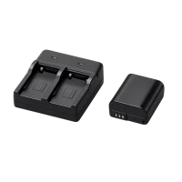 Camera Batterijen (134)