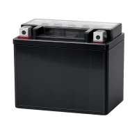 Motor Batterijen (29)