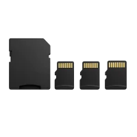 Geheugenkaarten (17)