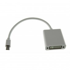 Apple Mini Displayport Naar Dvi-Adapter