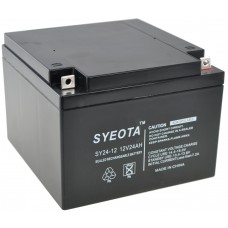Zeilvoudige Batterij Sy24-12 12v/24ah Rechargeable 175x124x165mm