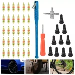 TSX TOOL bandenreparatieset ventielverwijdering 43-delig