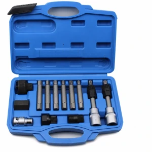 Kit Extractor Alternatorpoeliën 13-Delig Dop Vrijloopwiel OAD Professioneel