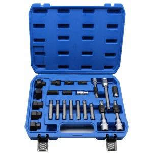 Kit Afwisselaarspoelie Extractor 24-delig Professioneel Vrijloop OAD Universeel