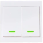 SONOFF dubbele draadloze RF-schakelaar 433Mhz voor domotica